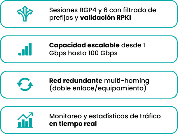 Caracteristicas del servicio de Ip transit de Level one
